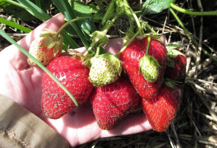 ��� ��������� ��������� �� ��������� ����� ����� ������: ��� ���������������� ������