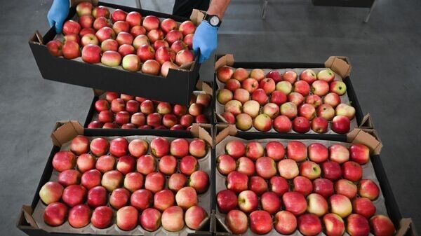 Как Белкоопсоюз определяет цены на сельхозпродукцию