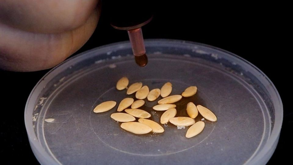 ����� �������������: ��� ��������� ������ � �����