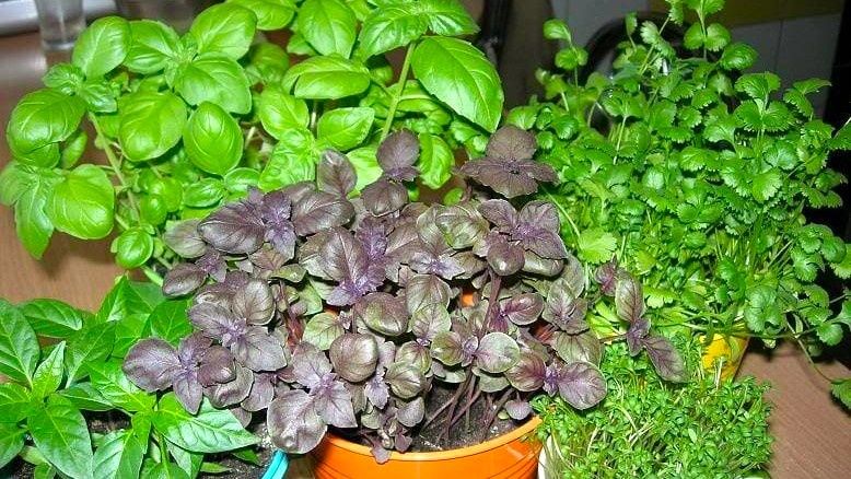 6 ������ ��������, ������������ ���������� � ��������� ����� ����