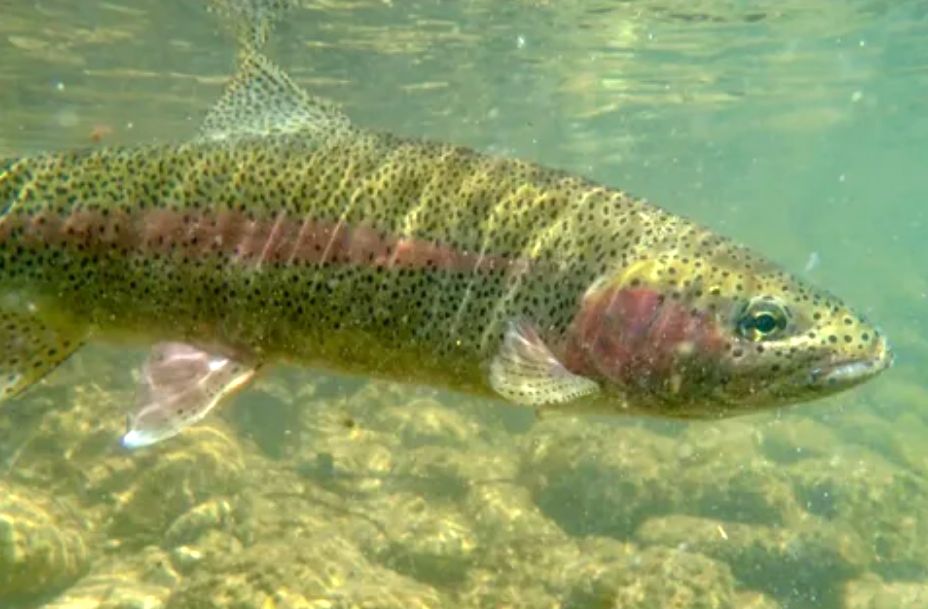 ������: ��������� ������� ������ ���� � �� �������� �����