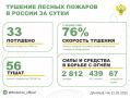 За прошедшие сутки в 9 регионах России потушили 33 лесных пожара