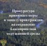 По административным исковым заявлениям прокуратуры восемь Лесохозяйственных регламентов признаны противоречащими федеральному законодательству в части включения в состав эксплуатационных лесов кварталов, расположенных в...