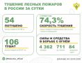 За прошедшие сутки в 18 регионах России потушили 54 лесных пожара