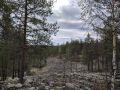 Каменная река в окрестностях поселка Калевала