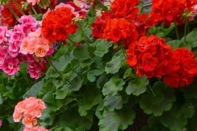 1        :          