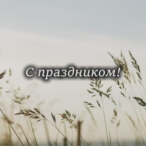 :   ,    !