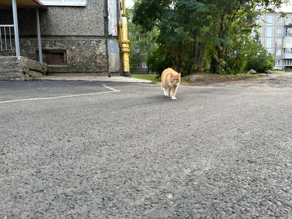 :            (   )!