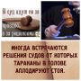Как отстоять свои пенсионные права: важные шаги к успеху