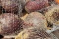 Яркая, сочная и вкусная: малоизвестный способ отварить свеклу без запаха