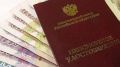 Будущее пенсии: как профессия влияет на размер выплаты