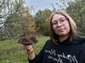 Как справиться с позеленением почвы на огороде: советы и решения