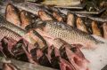 Как за 30 секунд убрать в жареной рыбе все косточки: простая хитрость