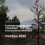 В ЗАКОНОДАТЕЛЬНОМ СОБРАНИИ РЕСПУБЛИКИ КАРЕЛИЯ В НОЯБРЕ