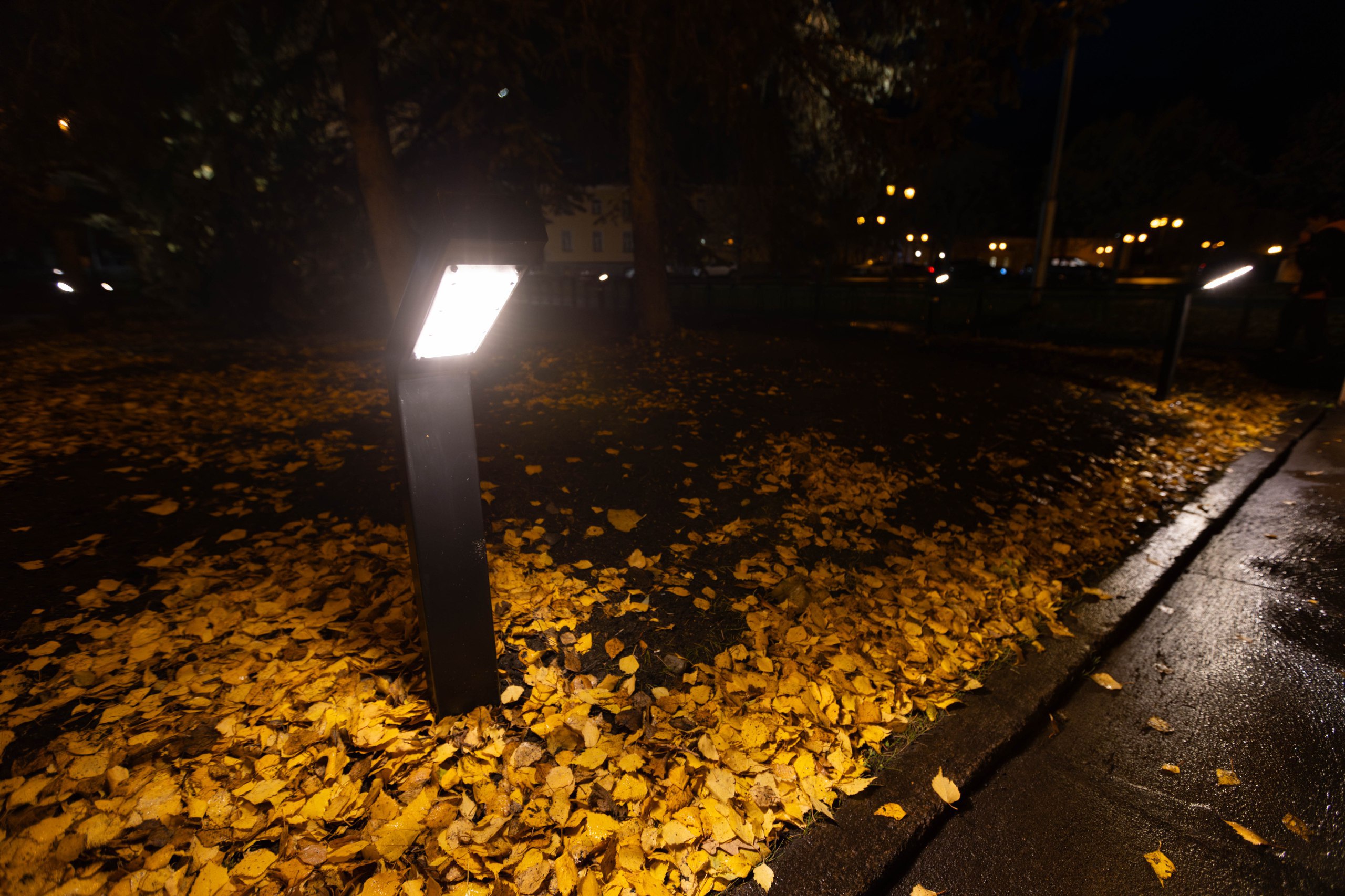 В Петрозаводске обновили систему подсветки у Вечного огня В Петрозаводске обновили систему подсветки у Вечного огня