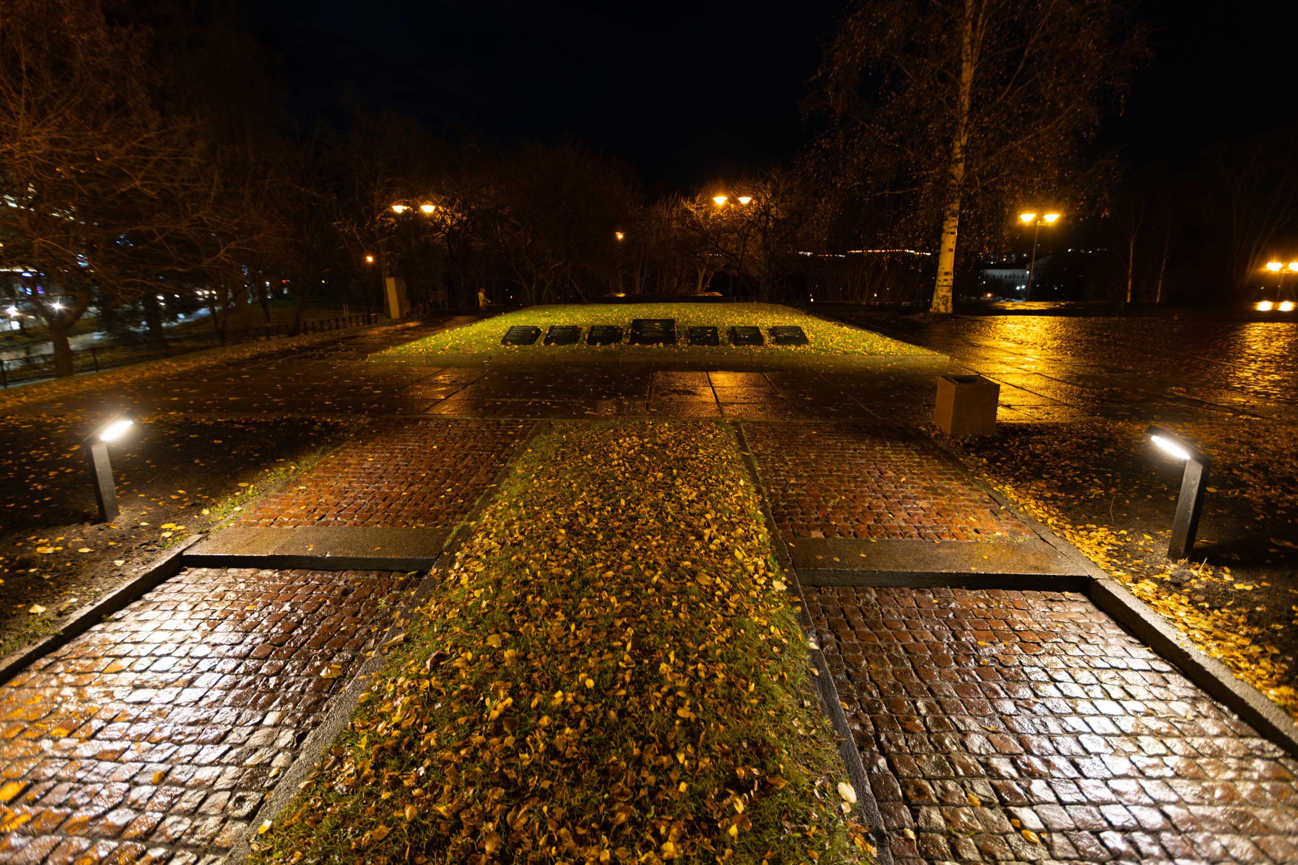 В Петрозаводске обновили систему подсветки у Вечного огня В Петрозаводске обновили систему подсветки у Вечного огня
