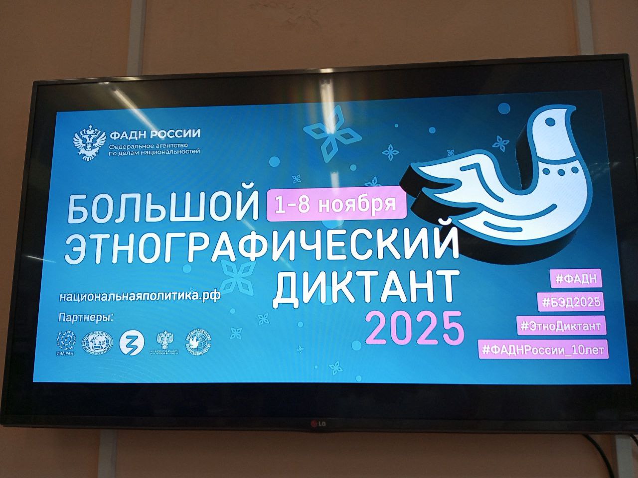 Народов много – страна одна! Народов много – страна одна!