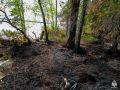 Жителя Лоухского района наказали за лесной пожар