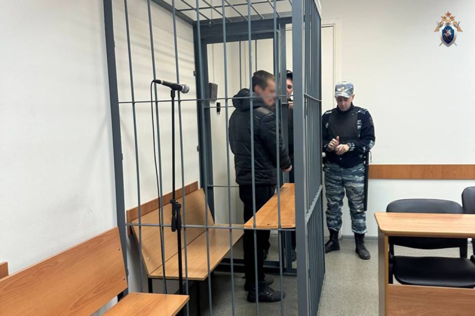 В Петрозаводске местный житель обвиняется в убийстве