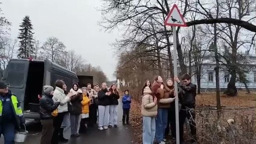 Утки в Сортавале теперь могут безопасно переходить дорогу