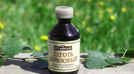 Непревзойденный березовый деготь: универсальное решение для садоводов