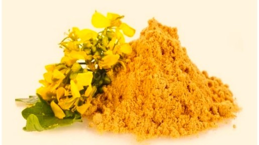 Как оздоровить почву без химии: секреты использования горчичного жмыха в теплице