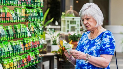 Прошлогодние семена порадуют урожаем только в этом случае: храните их правильно