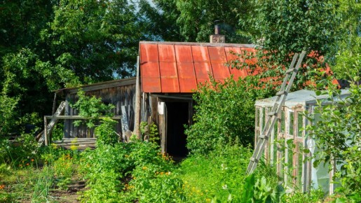 Как не попасть в ловушку уголовного наказания: забавная история о краже печки