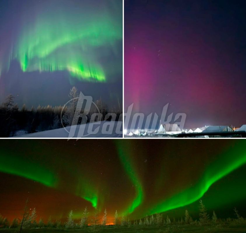 Жители северо-запада России делятся кадрами полярного сияния