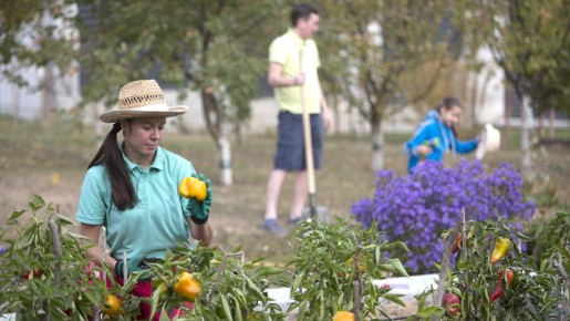 Садоводам на заметку: как сделать пребывание на даче приятным и полезным