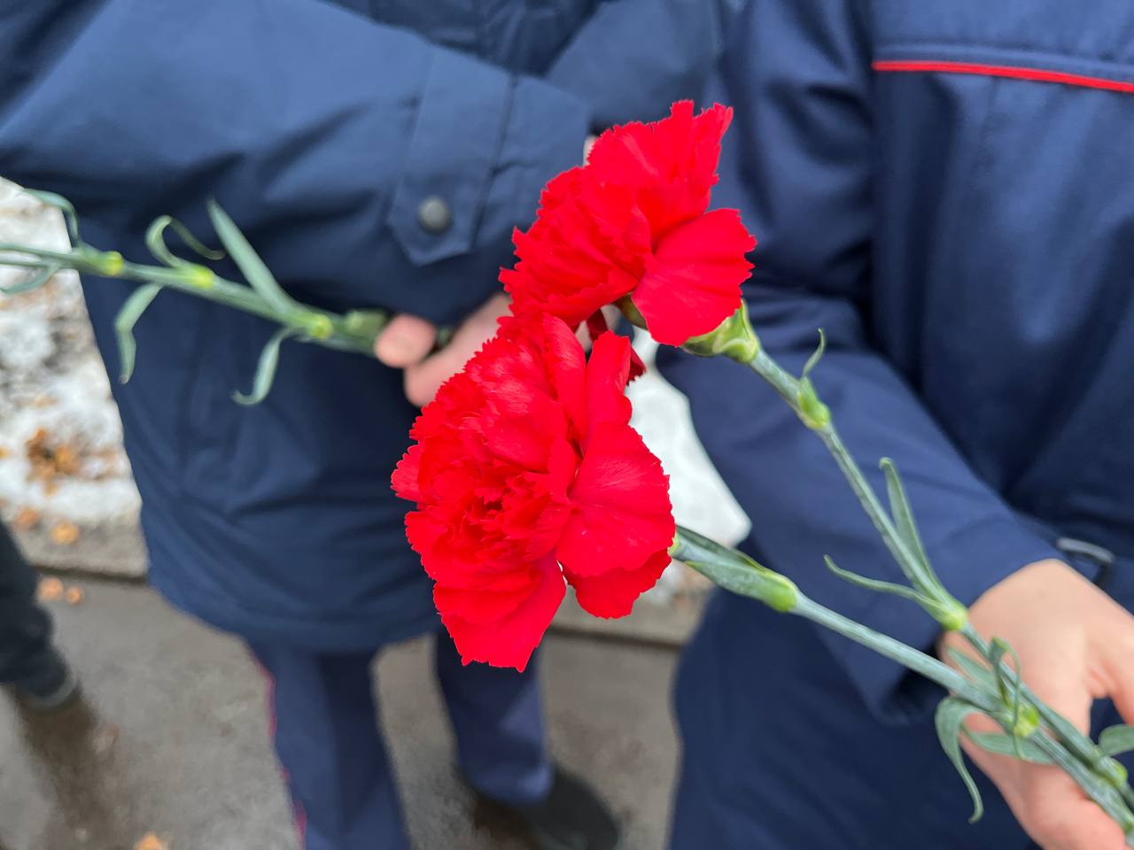 Сотрудники СУ СК России по Республике Карелия приняли участие в закрытии регионального этапа всероссийской акции «Вахта Памяти» Сотрудники СУ СК России по Республике Карелия приняли участие в закрытии регионального этапа всероссийской акции «Вахта Памяти»