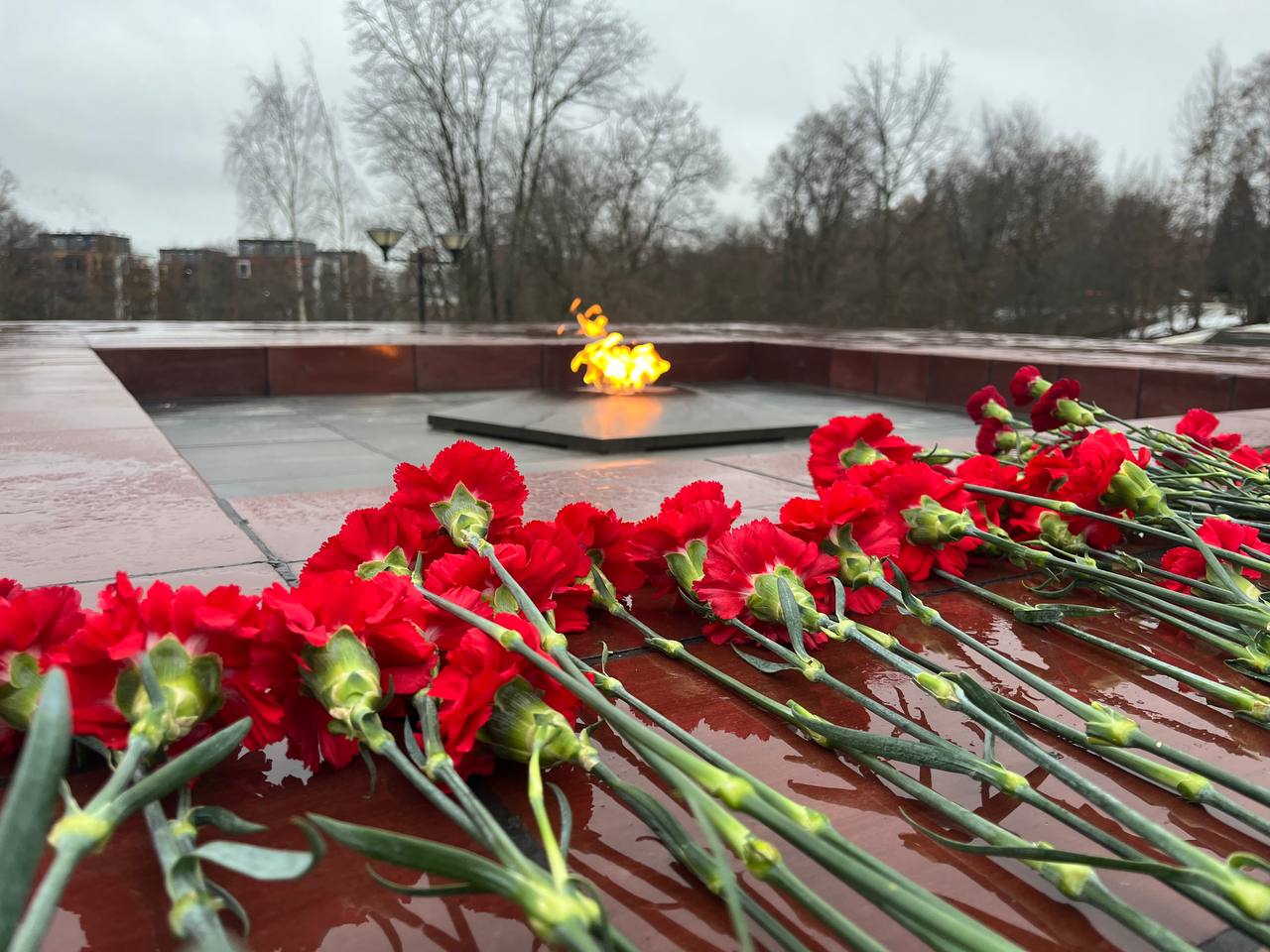 Сотрудники СУ СК России по Республике Карелия приняли участие в закрытии регионального этапа всероссийской акции «Вахта Памяти» Сотрудники СУ СК России по Республике Карелия приняли участие в закрытии регионального этапа всероссийской акции «Вахта Памяти»