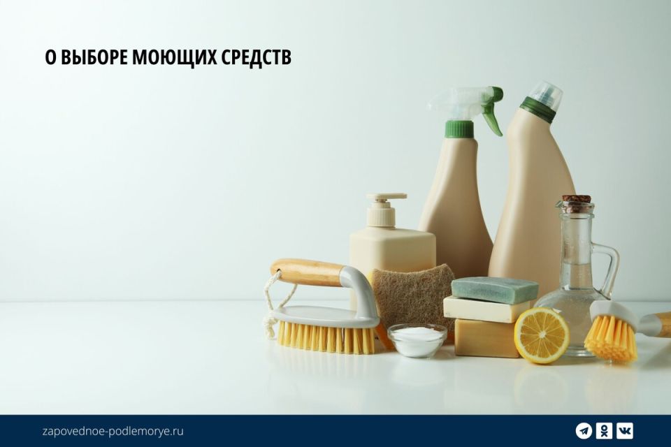 Экологическая угроза Байкала: чем опасны биоразлагаемые моющие средства?