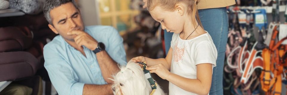 Как вернуть животное в зоомагазин: что нужно знать