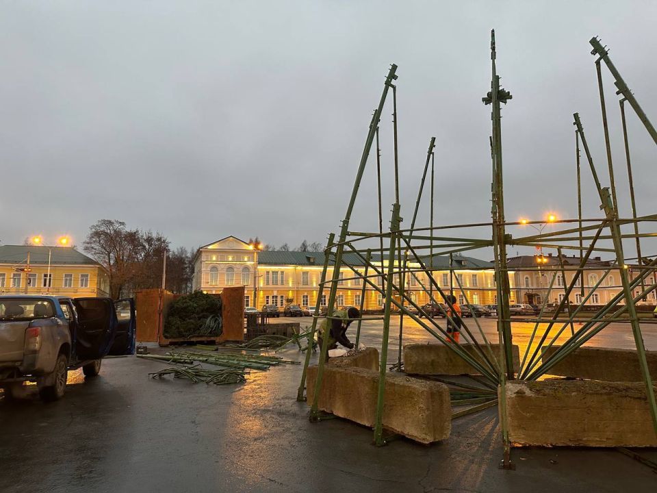 Колыхматова: Приступили к монтажу главной новогодней ели Петрозаводска