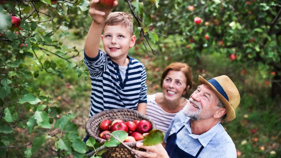 Налоги на хозпостройки: что нужно знать до 1 декабря 2025 года