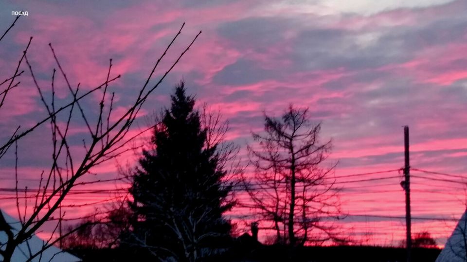 Выбор лампы для досвечивания рассады: основные моменты