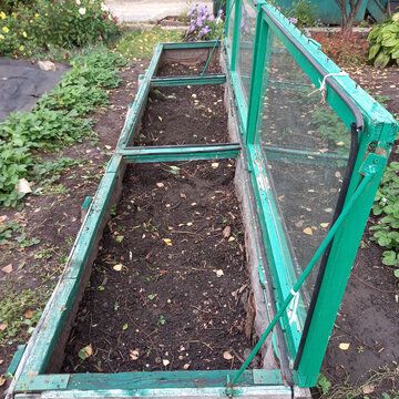 Как собственный парник может изменить ваш сад: креативные идеи для дачников