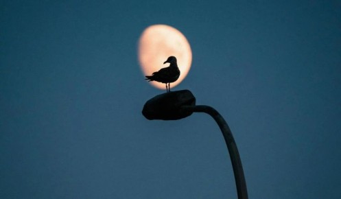 Опасные дни марта 2025: когда лучше избегать рисков