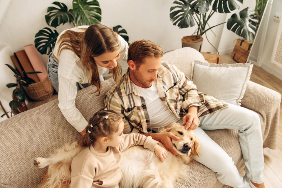 Сниженные ставки по ипотеке: шанс на собственное жильё в Южном городе