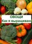 Методы успешного выращивания овощей