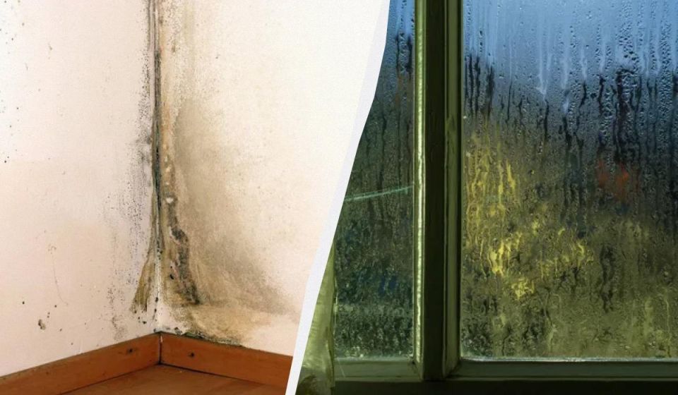 �������� � �������: ������� ���� ��� ����������� ������������ � ����� ����