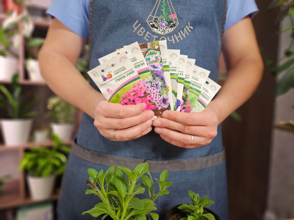 Секреты успешной посадки петуний: как сэкономить время и деньги