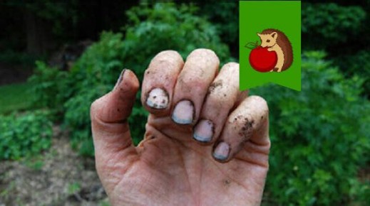 Эффективные способы быстрого очищения рук после работ в огороде