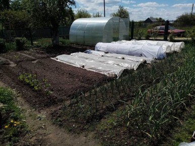 Как огород в радость: простая перестройка, которая освободила время для отдыха