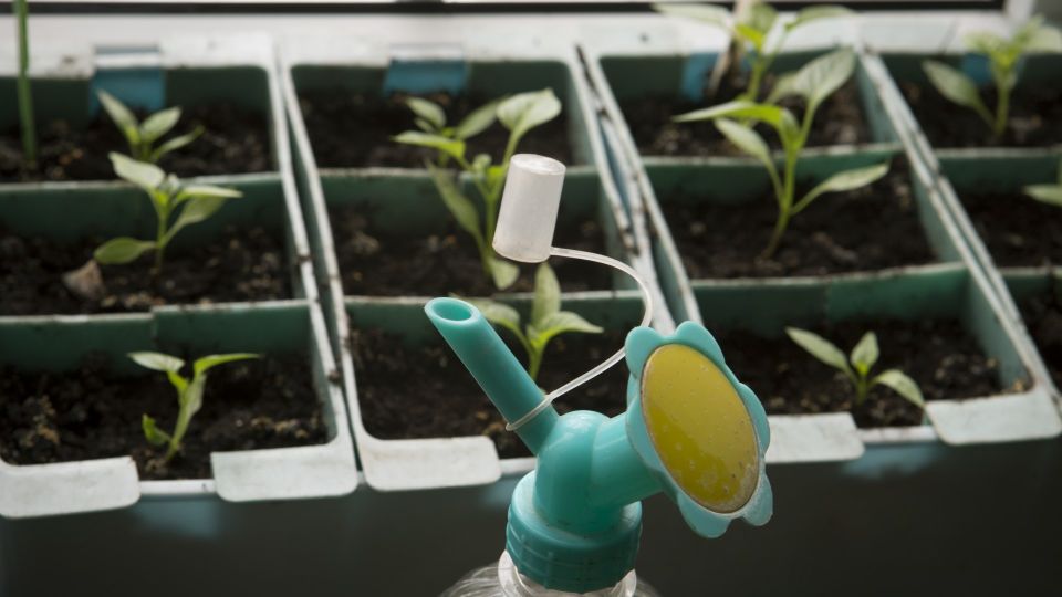 �������� ���������� �����: ������ ������� � ��� ������� ������ �� � ���� ������