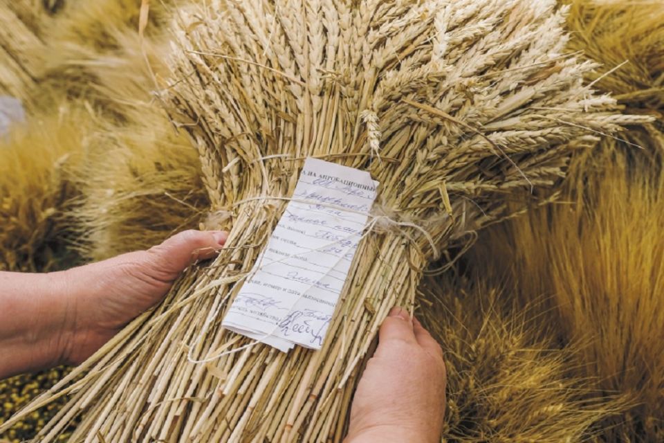 ������ � ������: ������ �����, �� � ��������� �� ��������