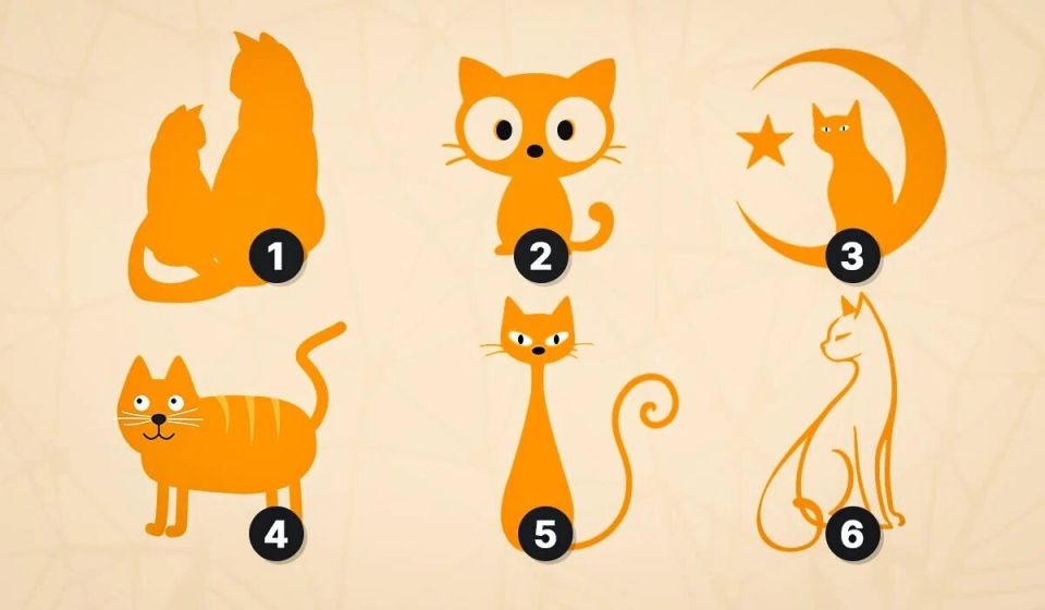 ��������� ����: �������� ���� � ������� ���� ������� �����!