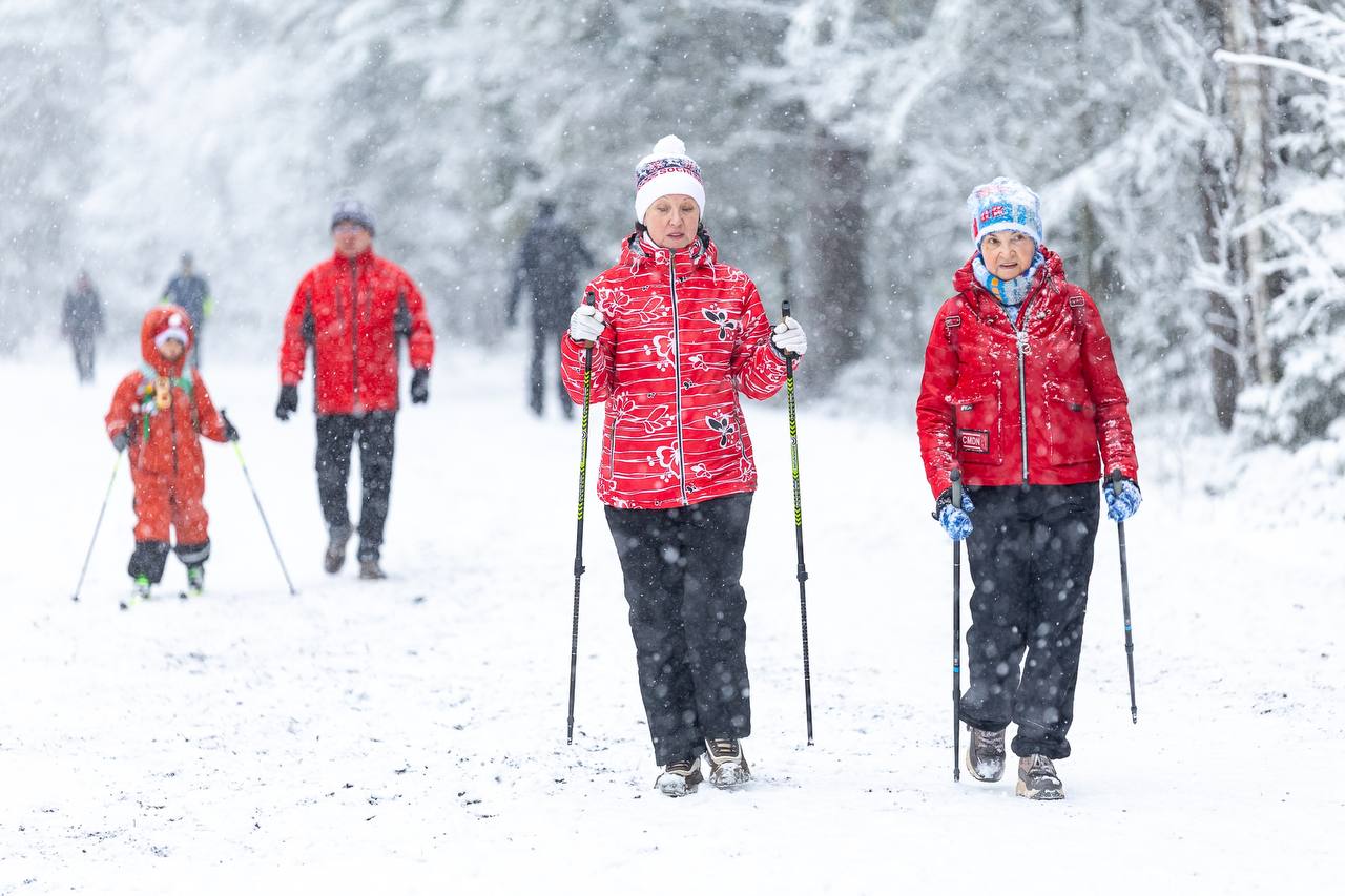 Колыхматова: Городской фестиваль «Зимние фонтаны» стартовал Колыхматова: Городской фестиваль «Зимние фонтаны» стартовал