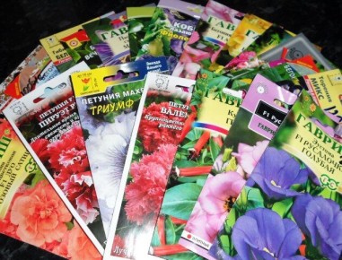 Секреты выбора семян для вашего сада